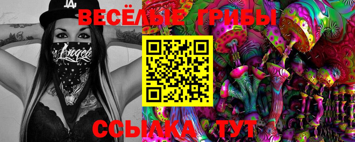 Галлюциногенные грибы Magic Shrooms  Псилоцибиновые грибы Cubensis  Вход с VPN  Михайловка 